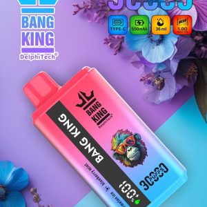 Bang King 30K デュアル フレーバー 30000 パフ |長期使用可能なバルク使い捨てベイプ