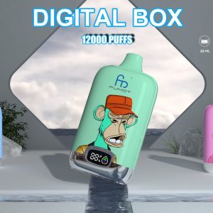RandM Digital Box 12K 12000 Puffar | LCD-skärm uppladdningsbar bulk engångsvape