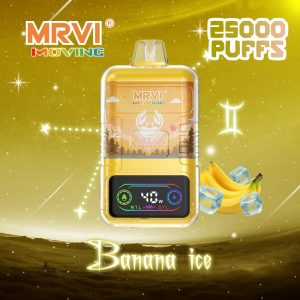 MRVI 25K デュアル コイル 25000 パフ |卸売用 30 ml バルク使い捨て VAPE