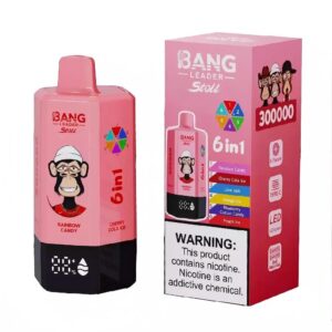 BANG LEIDER STOLL 300K | 6-in-1 300.000 trekjes, oplaadbaar, bulk wegwerpvape